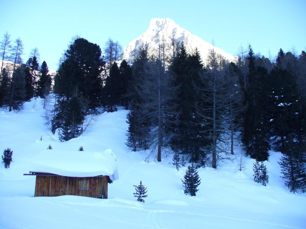 Hotel El Geiger Pozza di Fassa Extérieur photo